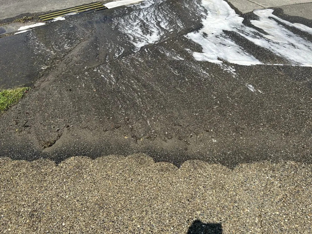 Slide of Alpha Pro Wash