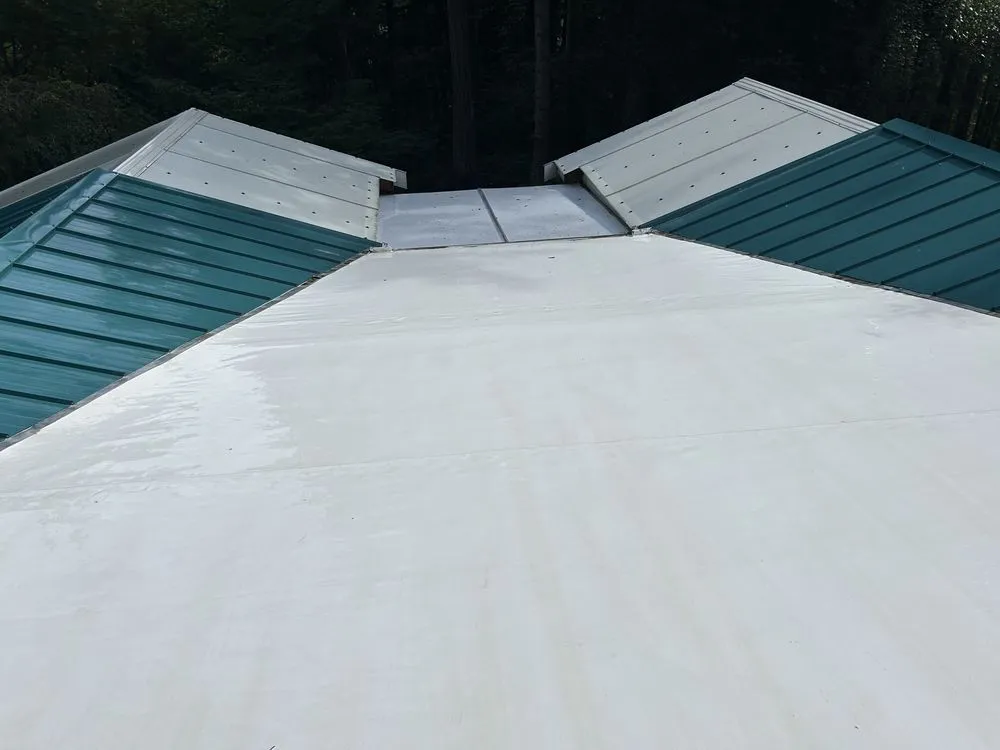 Slide of Alpha Pro Wash