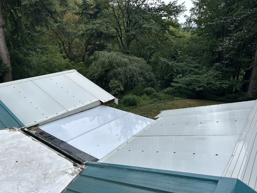 Slide of Alpha Pro Wash