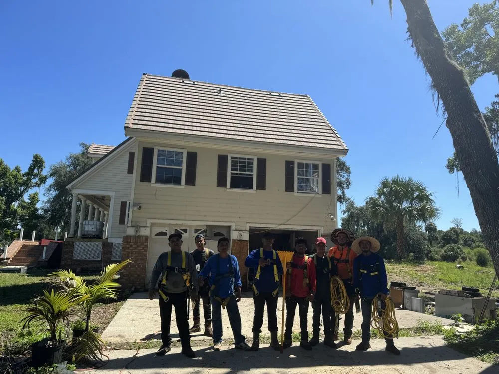 Slide of Alpha R Omega Roofing