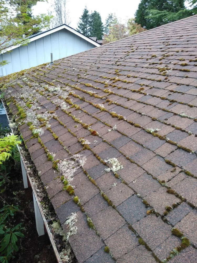 Slide of Alpha Roof Care