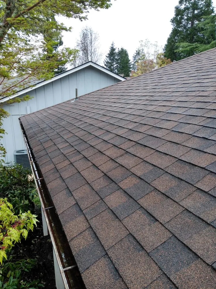 Slide of Alpha Roof Care