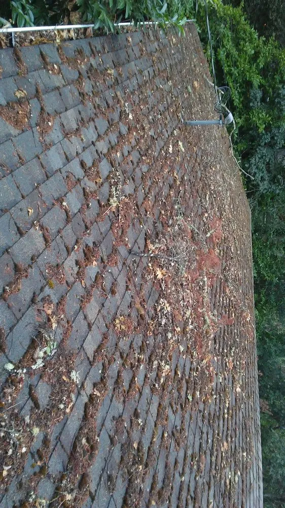 Slide of Alpha Roof Care