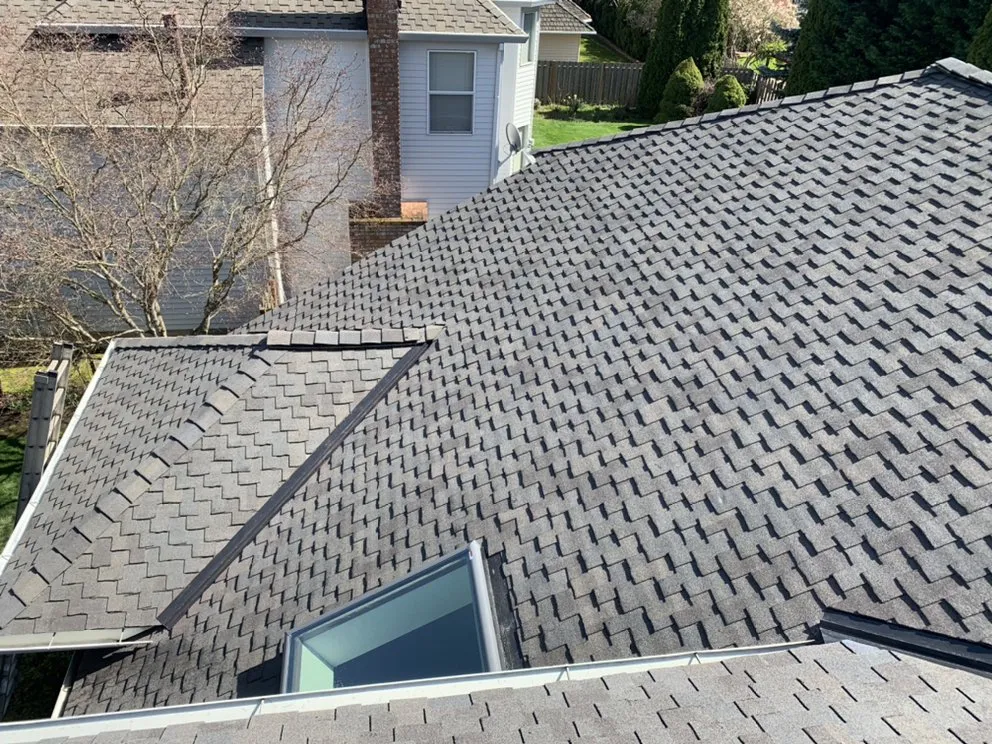 Slide of Alpha Roofers