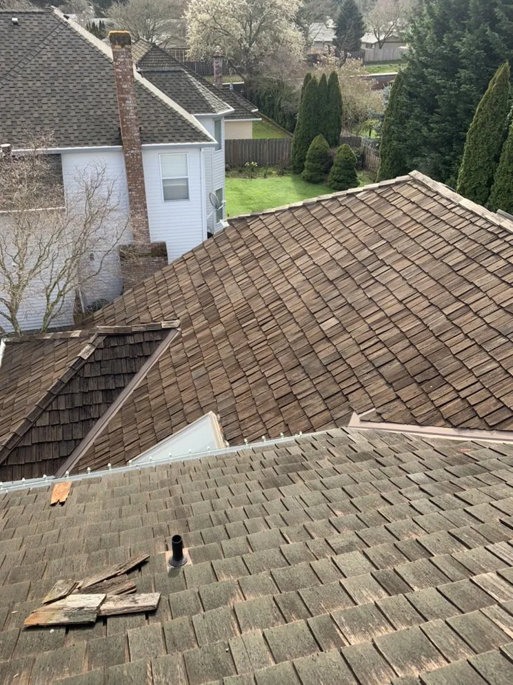 Slide of Alpha Roofers