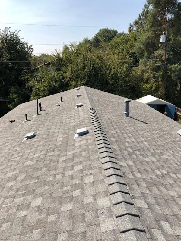 Slide of Alpha Roofing