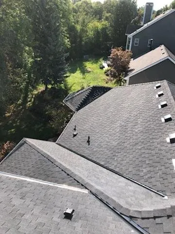 Slide of Alpha Roofing