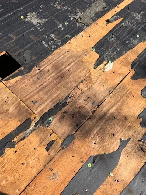 Slide of Alpha Roofing