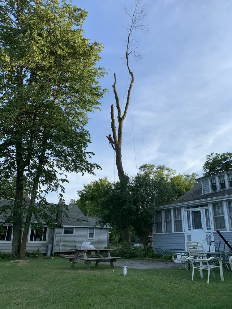 Slide of Alpha Roofing