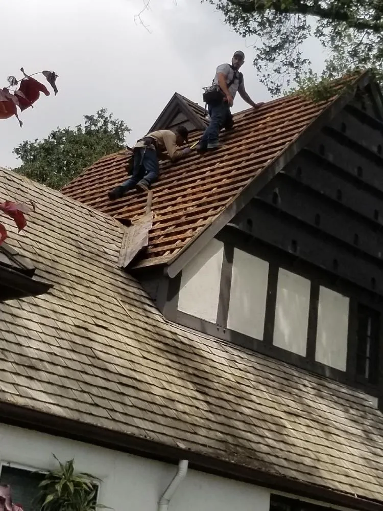 Slide of Alpha Roofing