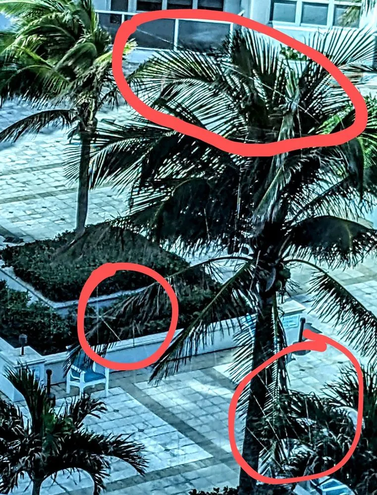 Slide of Alphatech Roof