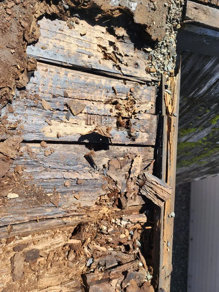 Slide of Alphaz Only