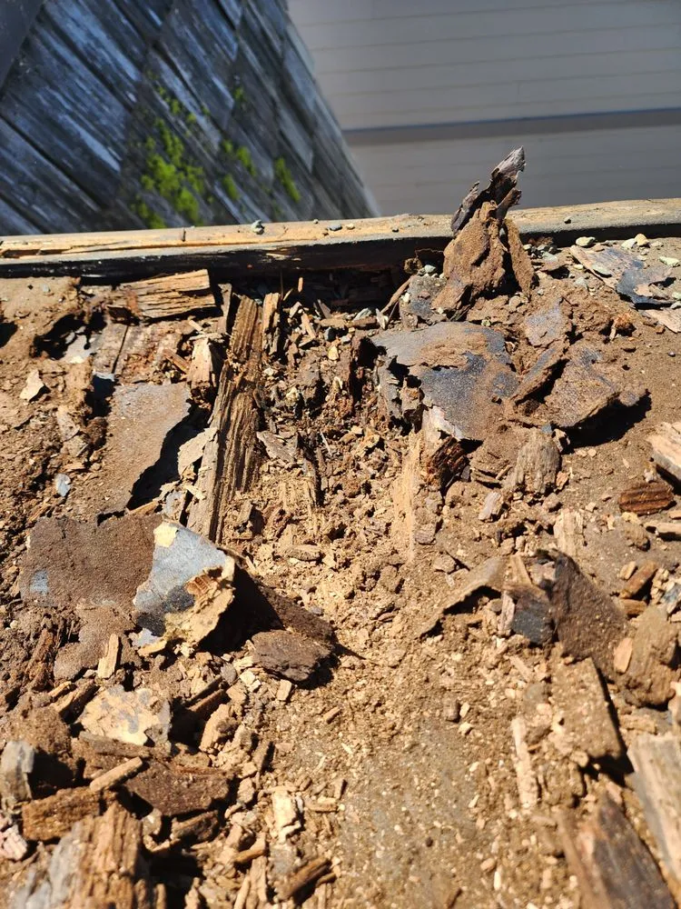 Slide of Alphaz Only