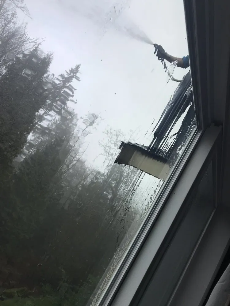 Slide of Alpine Gentle Roof Cleaning