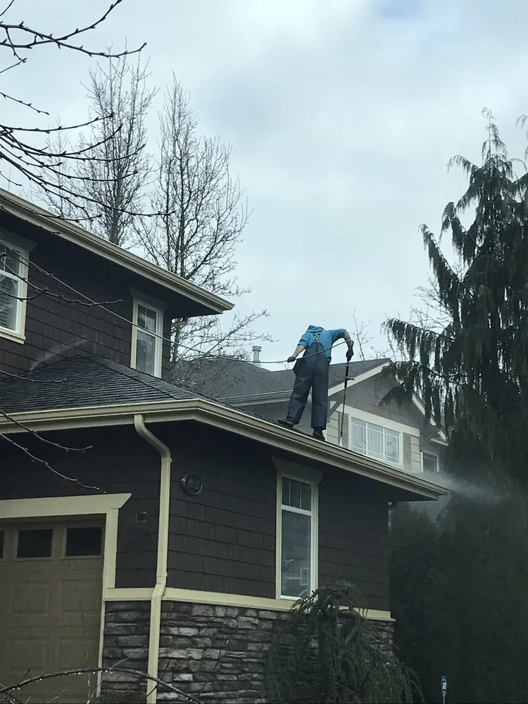 Slide of Alpine Gentle Roof Cleaning