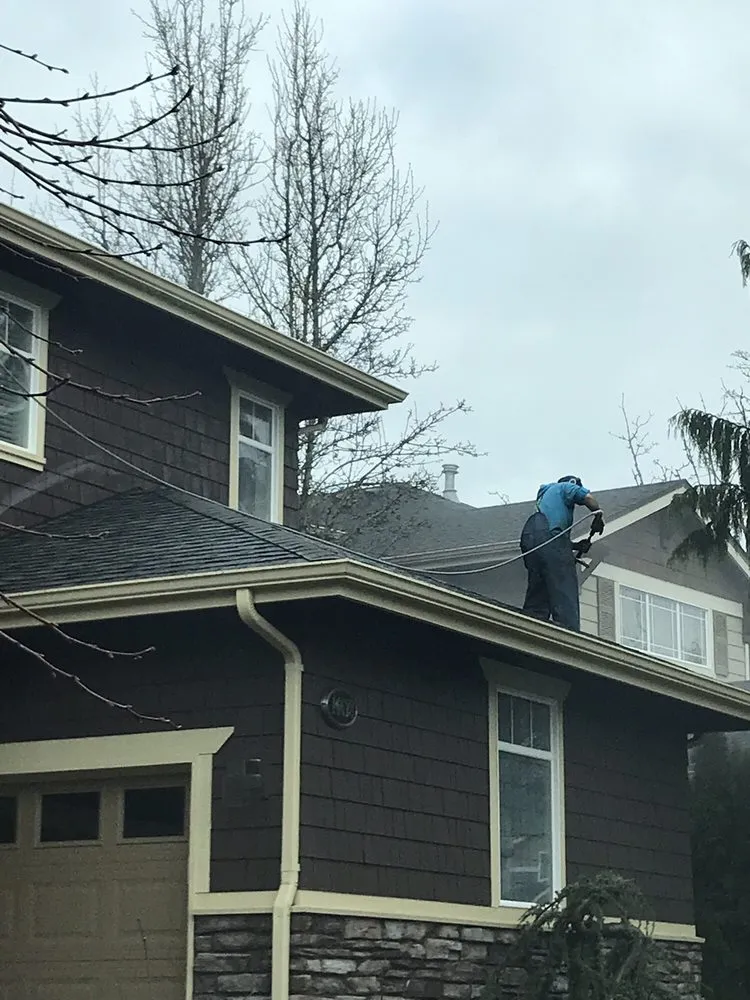 Slide of Alpine Gentle Roof Cleaning