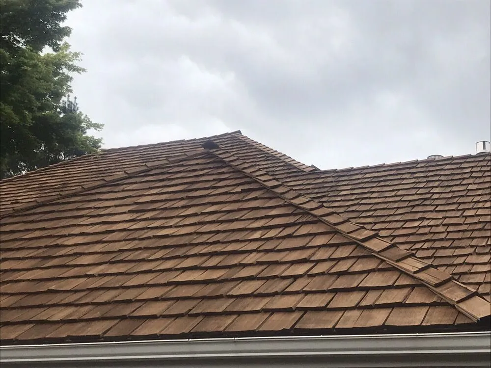 Slide of Alpine Gentle Roof Cleaning