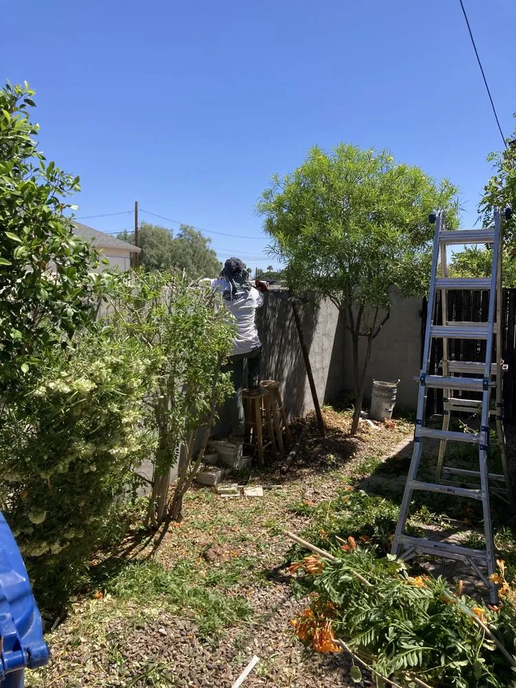 Slide of Alpine Landscape And Roofing