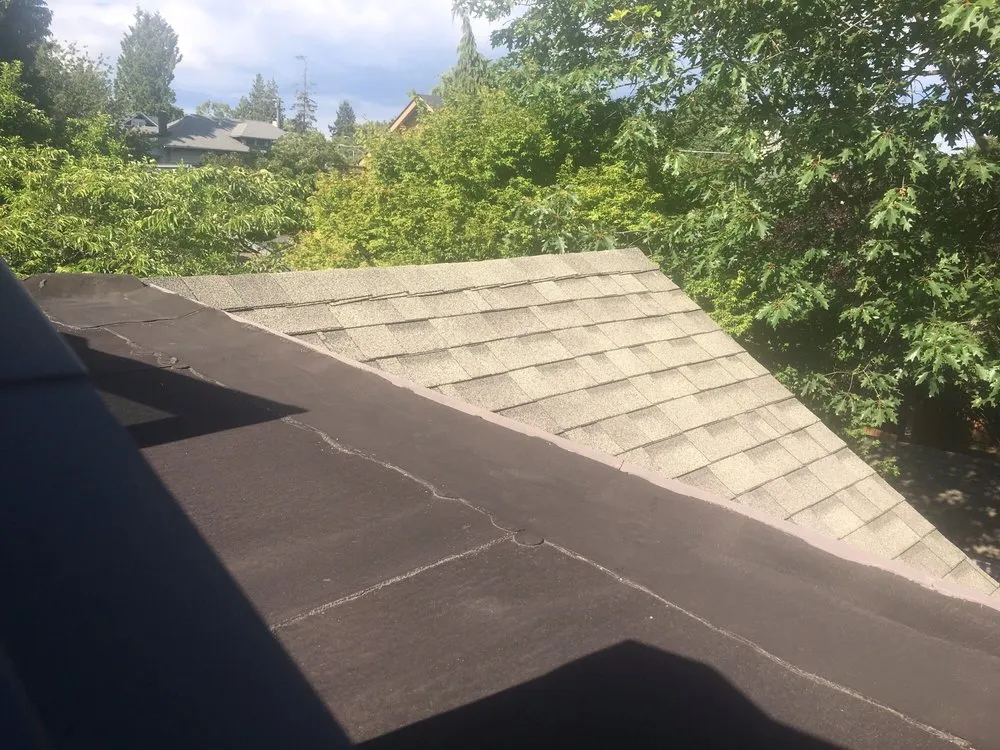 Slide of Alpine Roof Care