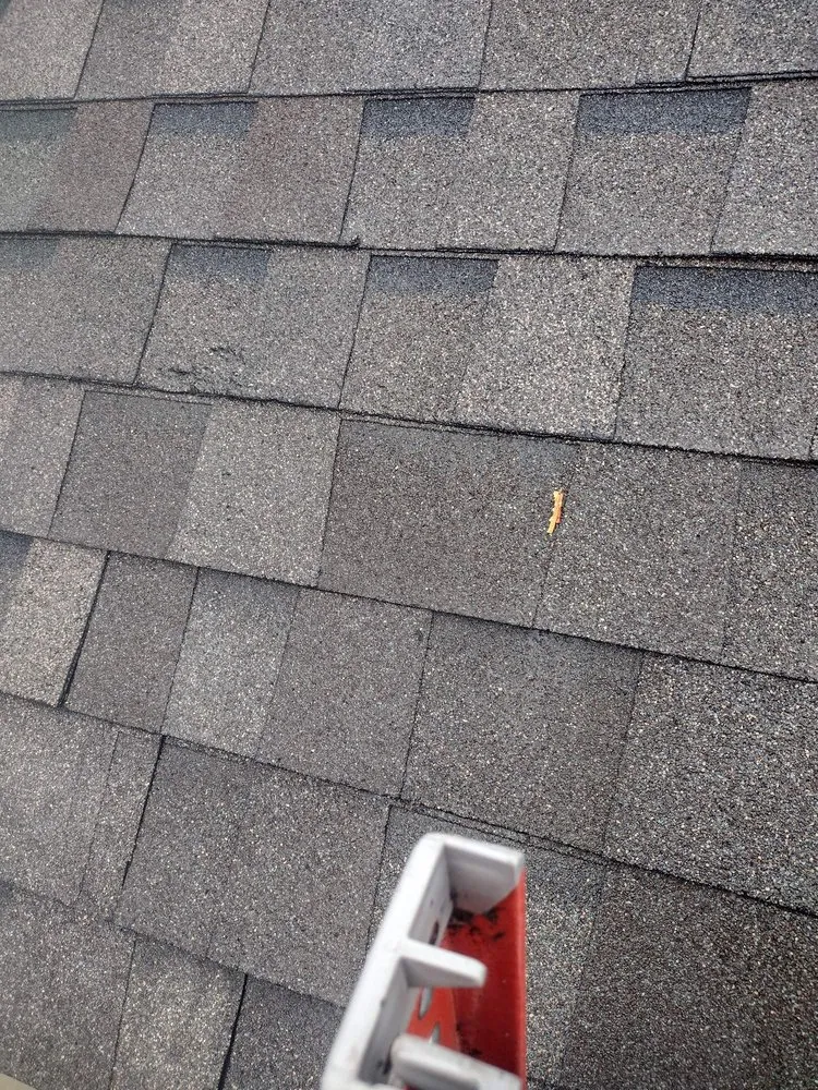 Slide of AL’s Lawn Service & Gonzalez Construction