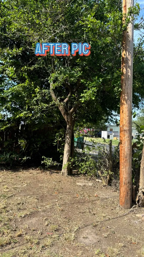 Slide of AL’s Lawn Service & Gonzalez Construction