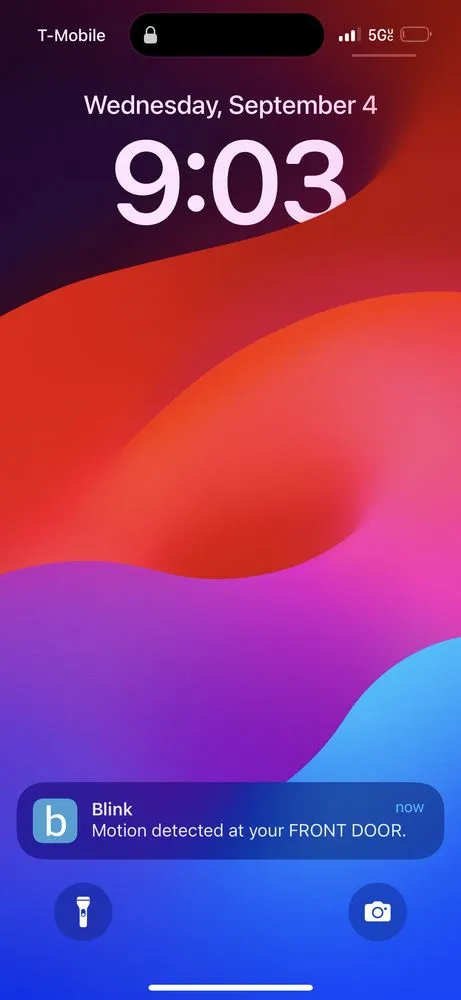 Slide of AL’s Lawn Service & Gonzalez Construction