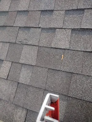 AL’s Lawn Service & Gonzalez Construction Logo