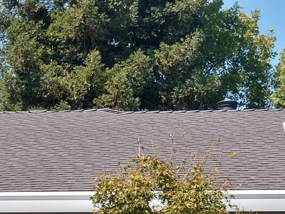 Slide of Alta-Cal Roofing