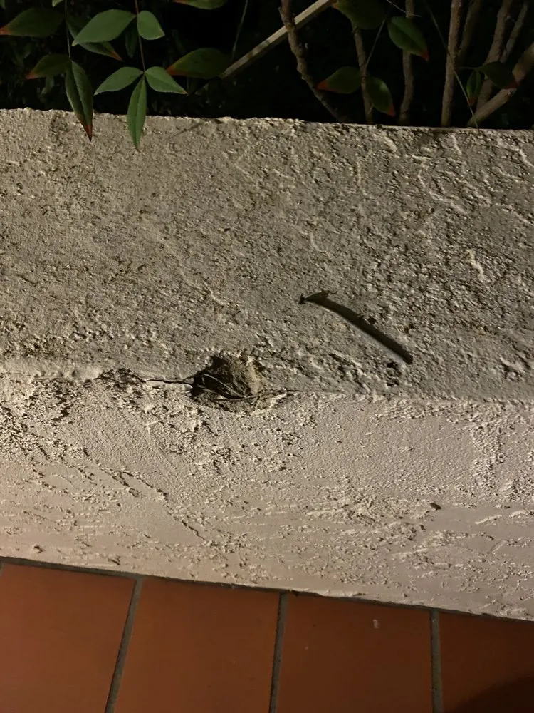 Slide of Alta Roofing & Waterproofing