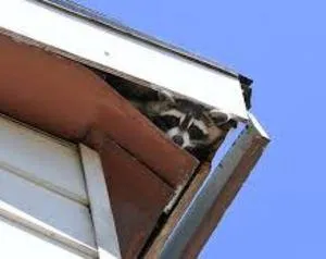 Slide of Altec Exteriors