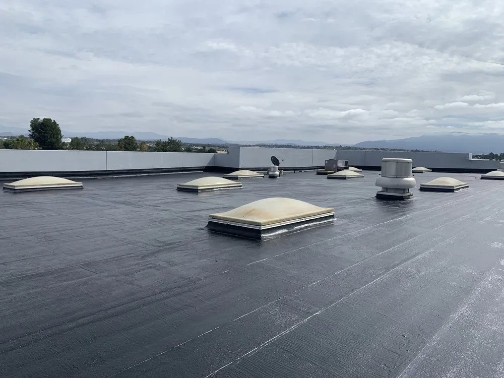 Slide of Alternative Coatings Solutions