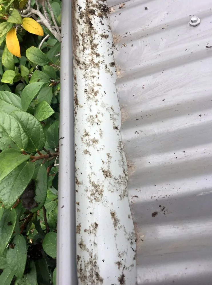 Slide of Altgeld Roof & Gutter Services