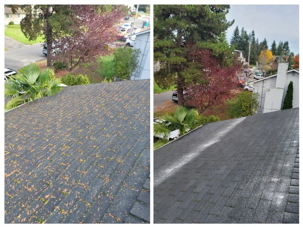 Slide of Altitude Windows & Gutters