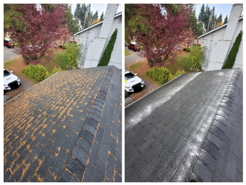 Slide of Altitude Windows & Gutters