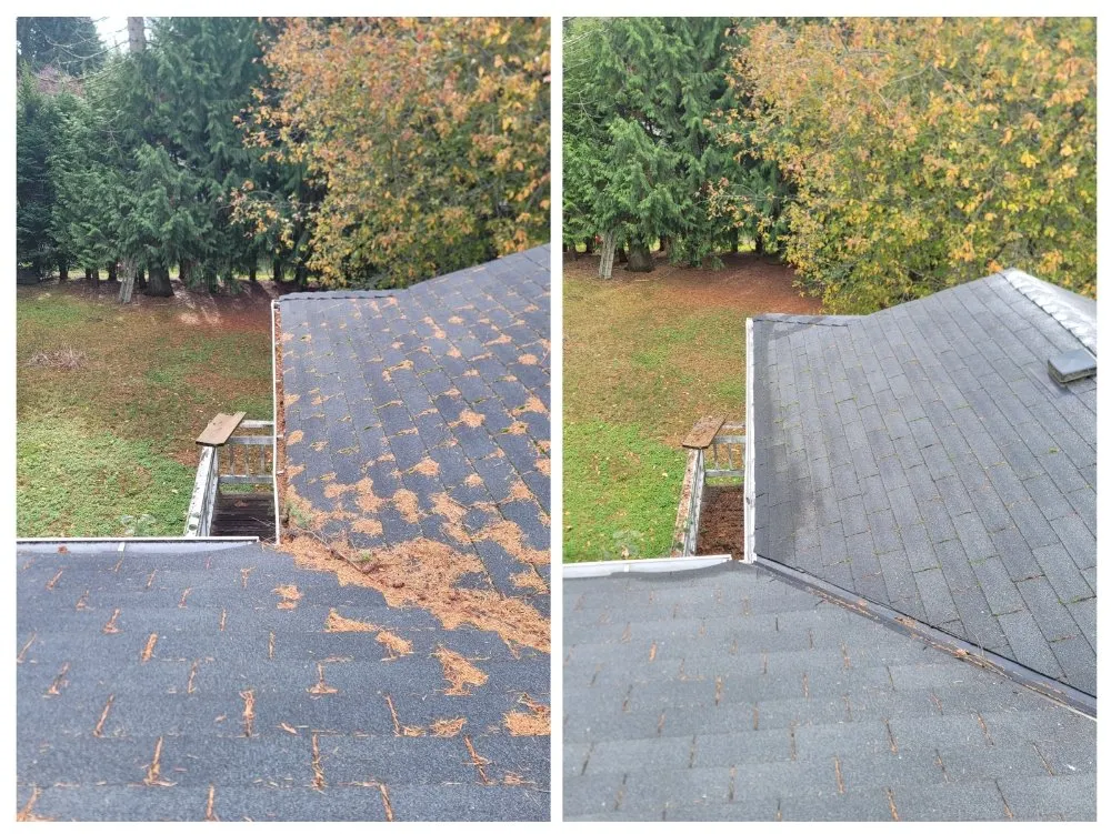 Slide of Altitude Windows & Gutters