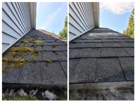 Altitude Windows & Gutters