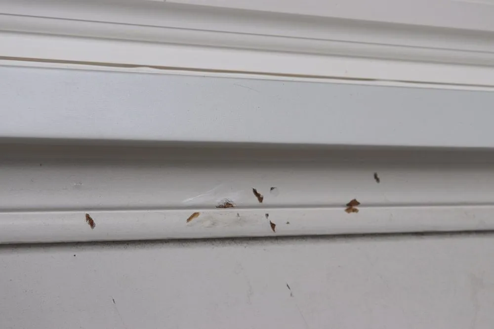 Slide of Aluminum Company of North Carolina