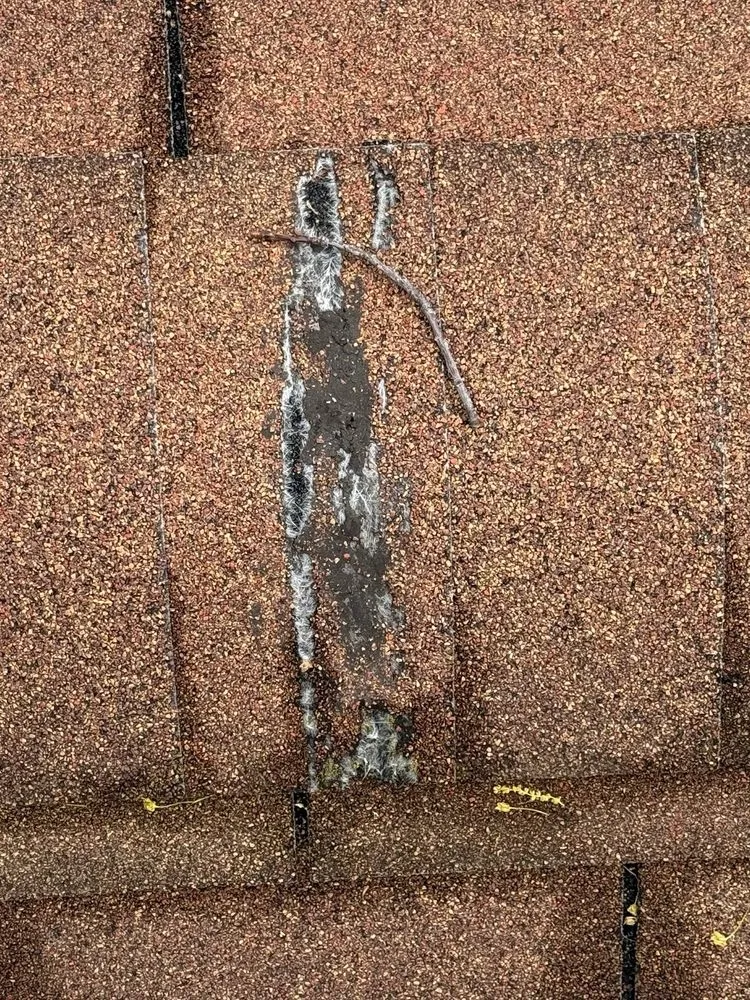 Top-rated roof inspection near you in Newton Centre, MA by Alutec Masonry