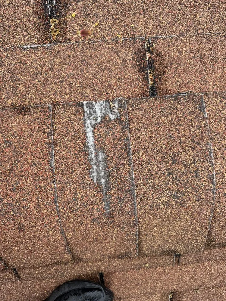Top-rated shingle roofing service experts serving Newton Centre, MA - Alutec Masonry