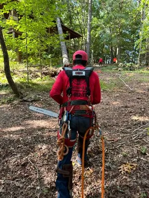 Alvarado Contracts Logo