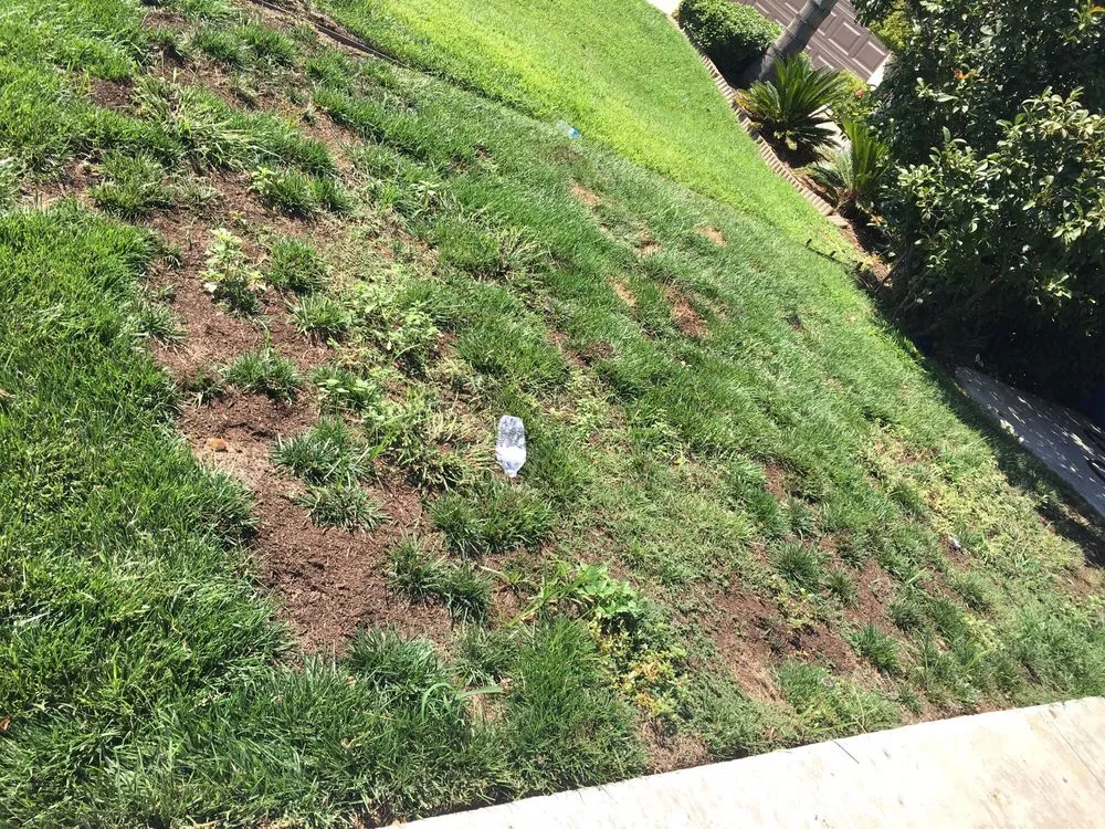 Slide of Alvarado Lawn Service