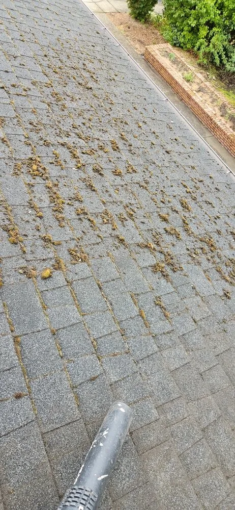 Slide of Alvarez Roofing and Construction