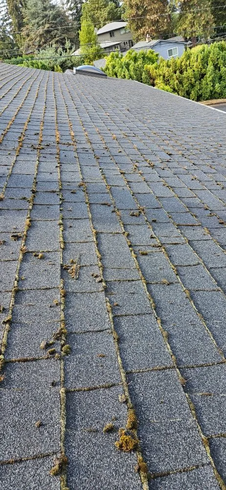 Slide of Alvarez Roofing and Construction