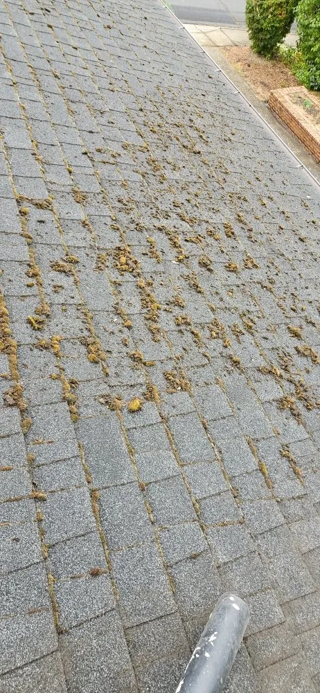 Slide of Alvarez Roofing and Construction