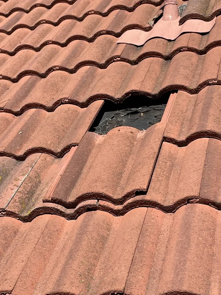 Slide of Alvarez Roofing