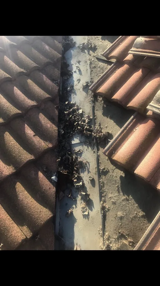 Slide of Alvaro's Roofing