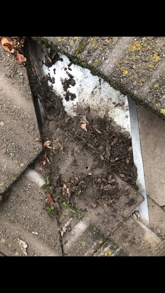 Slide of Alvaro's Roofing