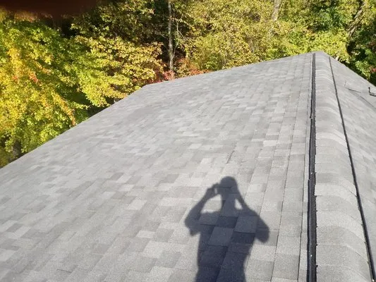 Alverson Roofing Logo