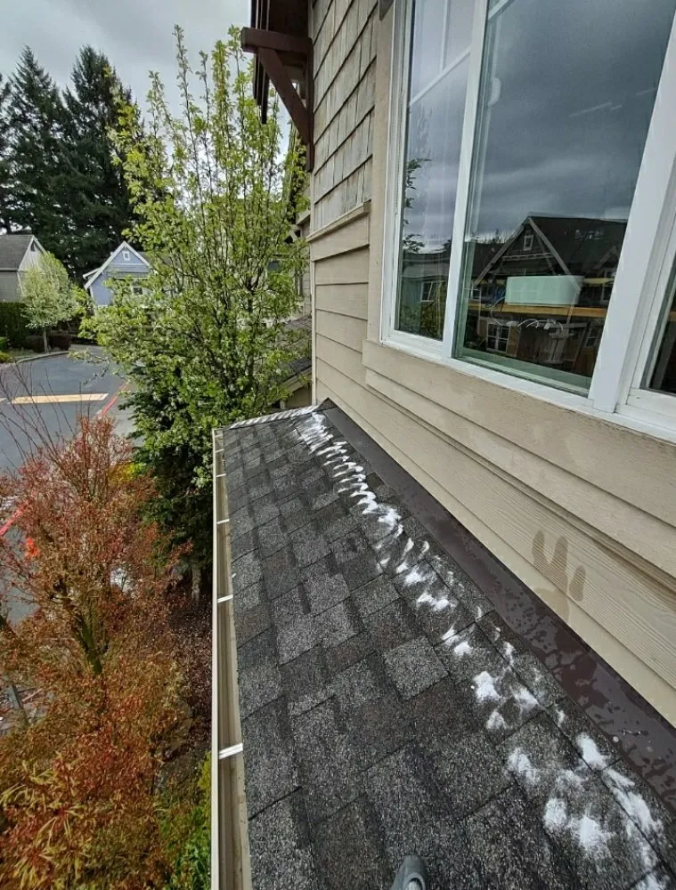 Slide of Alv's Services