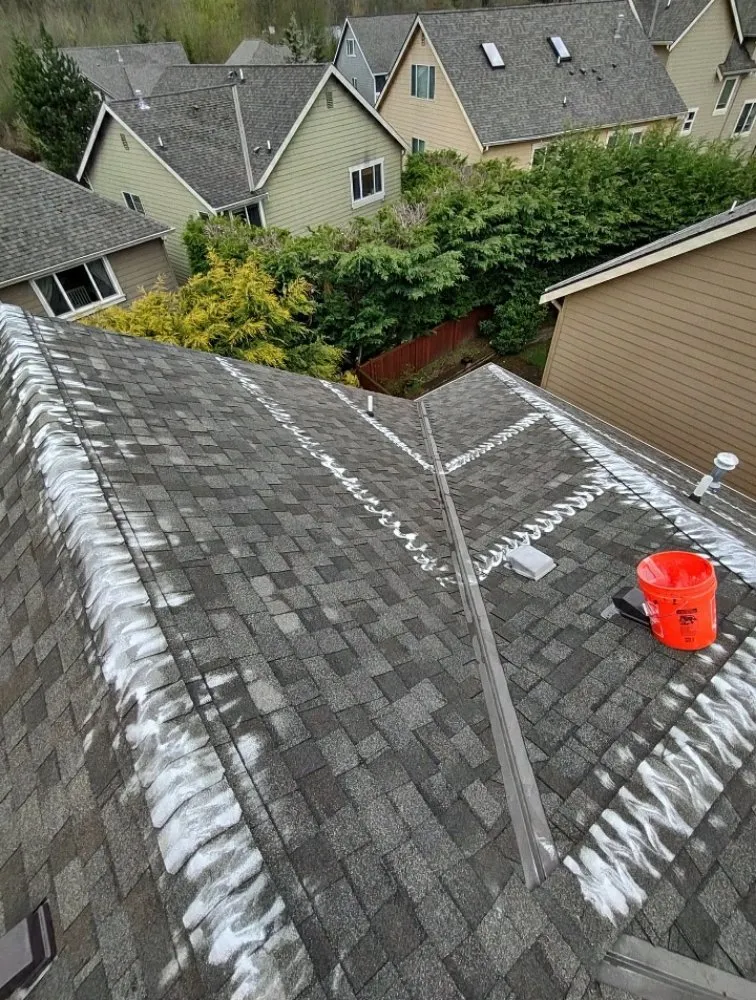 Slide of Alv's Services